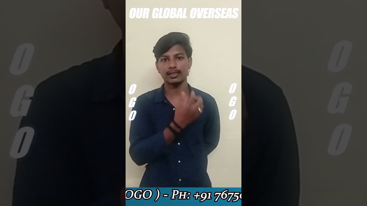 Everything You Need to Know About Study Abroad Consultants.