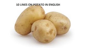 10 LINES ON POTATO FOR KIDS IN ENGLISH| FEW LINES ESSAY ON POTATO   FOR CHILDREN