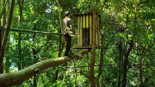 set up camp on treetops, create safe shelter, find food in the wild - Tropical forest #20