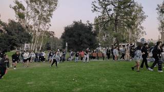 Celebrity Petr Drops at UCI: How Student-Made Stickers Sparked a Campus Phenomenon Net Worth
