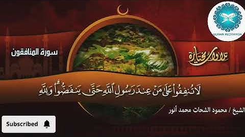 جديد قناة تلاوة القرآن | تلاوة مميزة للقارئ محمود الشحات أنور | سورة المنافقون HD 📖✨#quran #اكسبلور