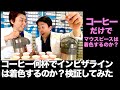 【インビザライン検証】コーヒー何杯飲むとインビザラインは着色するのか？検証してみた