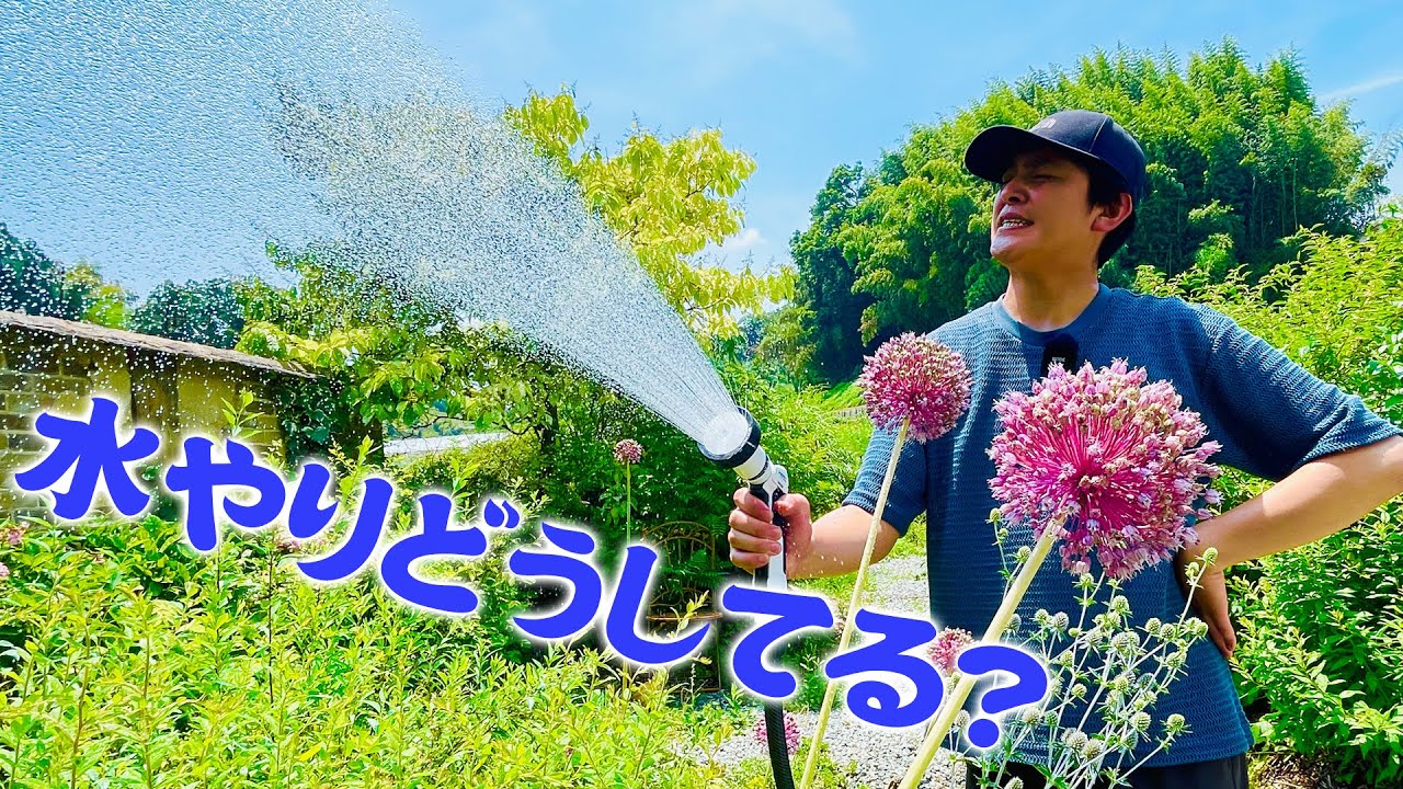 Watering in Summer is Tough] I bought a watering hose and other