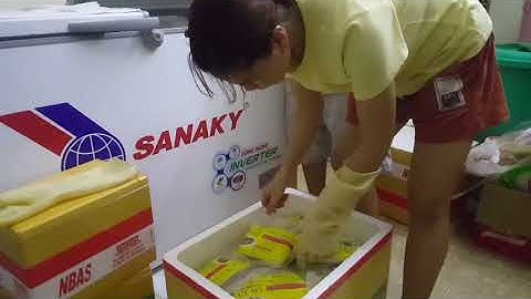 Chả Cá Thác Lác, Thác Lác Rút Xương - Hàng Sân Bay, Đi Nước Ngoài | Út Mỵ - Đặc Sản Miền Tây