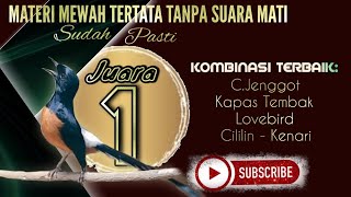 isian murai mewah tertata pasti juara@CreatorBirdChanel