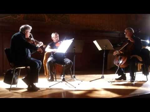 თელ ავივის ტრიო თბილისში (რეპეტიცია 2)