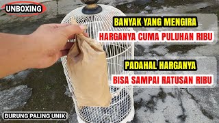 JANGAN ASAL NAWAR KALAU BELUM TAU BURUNG INI !!! 🐦 | UNBOXING