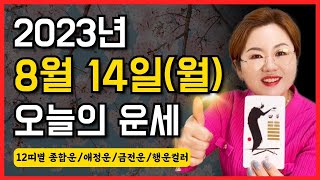 2023년 8월 14일 (월) 오늘의 운세  종합운•애정운•금전운•행운컬러