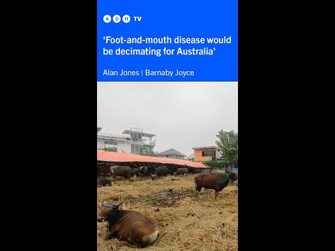 'Foot-and-mouth disease would be decimating for Australia' | @Barnaby Joyce MP joins Alan 