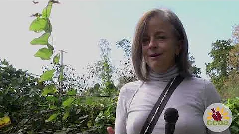 COMOGIVES 2020 - Leslie Meyer