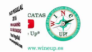 VIDEOCATA PAZO PEGULLAL 2016