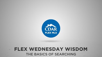 CDAR FLEX Wednesday Wisdom - The Basics of Searching