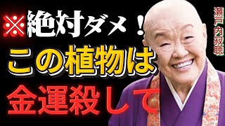 【絶対するな】玄関にあると「一生貧乏になる」7つの観葉植物│瀬戸内寂聴が警告する運命の分