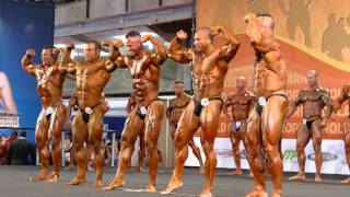 3rd Group Compulsory - Prejudging - Master Over 40 Under 90kg - Arnold Amateur Europe 2014