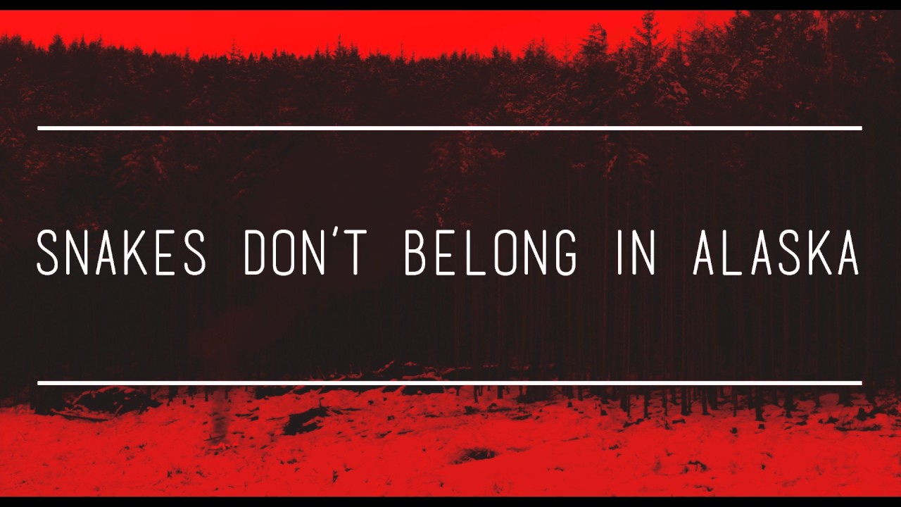 Snakes Don't Belong in Alaska - I Watched The World End... (Edit)