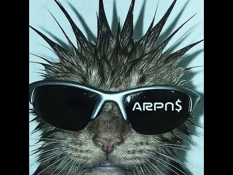 VZN - BASANTI / HEARTBREAKER | sped up | ARPN$