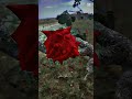 خد عيني خدني بأحلامي بدون موسيقى تصميمي