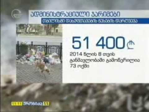 ნარჩენების მართვის ახალი სისტემა