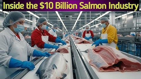 Inside the $10 Billion Salmon Industry: From Ocean Harvest to Dinner Plate. The Workflow Engine.