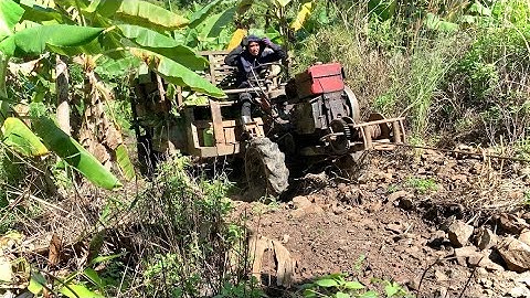 Xe công nông chở chuối lên dốc tời cực khỏe và cái kết cuộc sống Tây nguyên