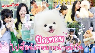 ปิดเทอม! ไปซื้อน้องหมาที่หน้าเหมือนหมีกัน🐶 ที่ฟาร์มฮีโร่ปอม l WiwaWawowTV