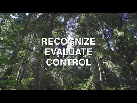 Manual Tree Falling - Site Assessment
