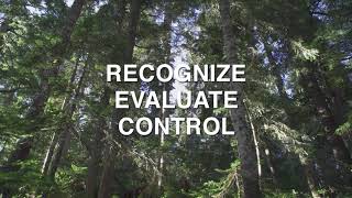 Manual Tree Falling - Site Assessment