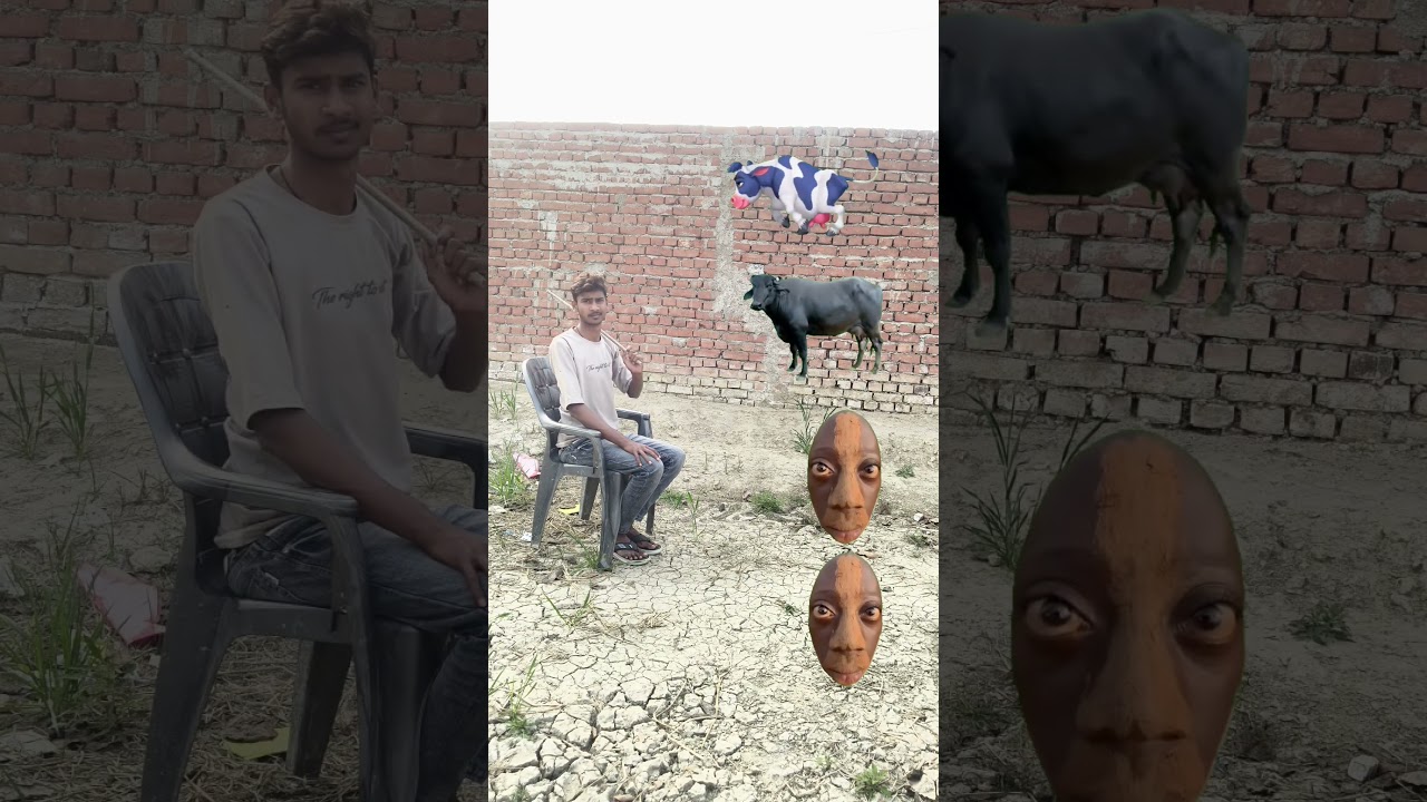 cow,, buffalo,, goat,, lion VFX magic //youtube shorts