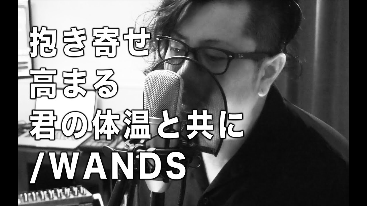 Wands 抱き寄せ高まる君の体温と共に 歌詞あり Cover By Pointy Ears Youtube