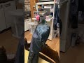 カラスのハッピーライブ!前半子どもがハッピーを遊ばせようとしてたのもあり興奮気味だったけど後半はのんびりうとうとしてました