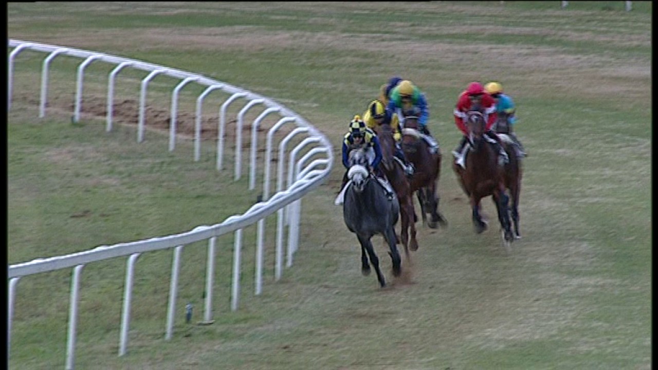 2017-03-05 Corsa n5 m1600 50° Premio Thomas Rook - YouTube