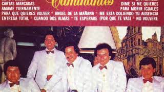 Download Lagu Regresare - Los Caminantes MP3