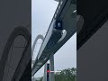 This Hanging Sky Train Will End Traffic Jams! China’s New Technology.
