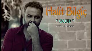 HALİT BİLGİÇ  GULE 2017 Resimi