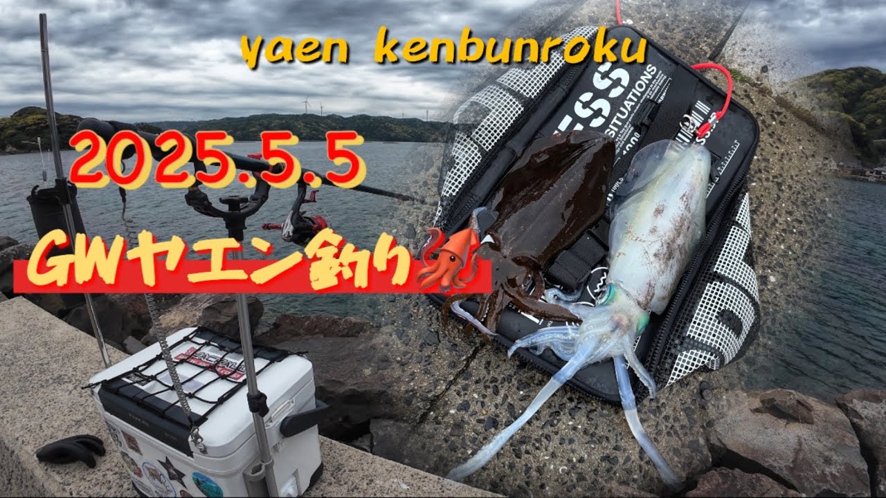 【ヤエン釣り　アオリイカ】　GWに春烏賊狙い、やっぱりヤエン釣りは面白い