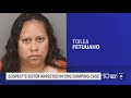 Third person arrested in case involving 12 dogs dumped at Largo park