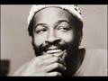 Marvin Gaye - Sexual Healing (Red Astaire Remix)