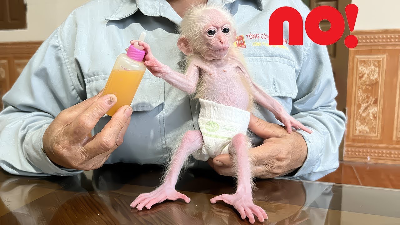 Monkey Poor's reaction when Hong made him orange juice to drink!