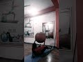 Swiss boll