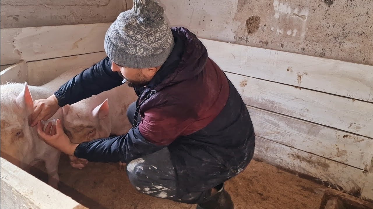 профилактика, а может уже лечение - YouTube