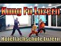 Chinese New Year 2026 Wushu Show Luzern