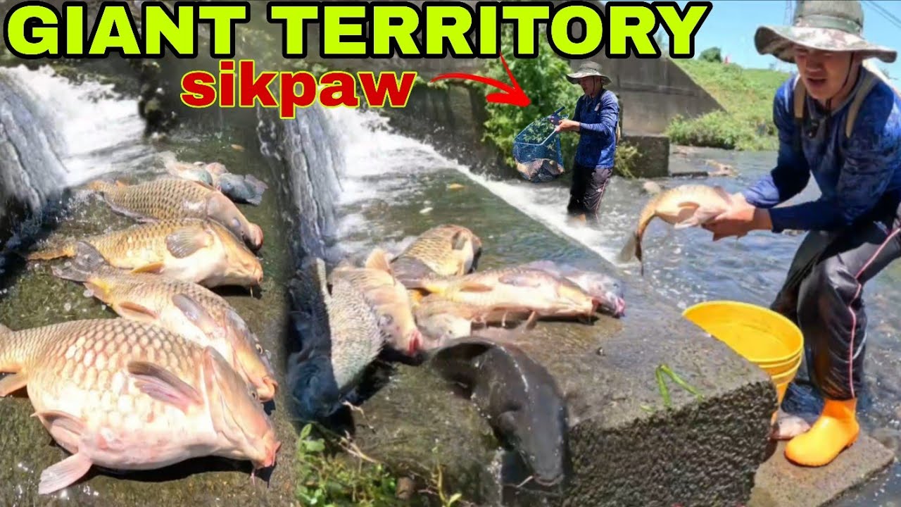 ANDAMING HIGANTENG KARPA SINASALOK LANG liblib na water falls dam