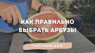 Как правильно выбрать арбузы