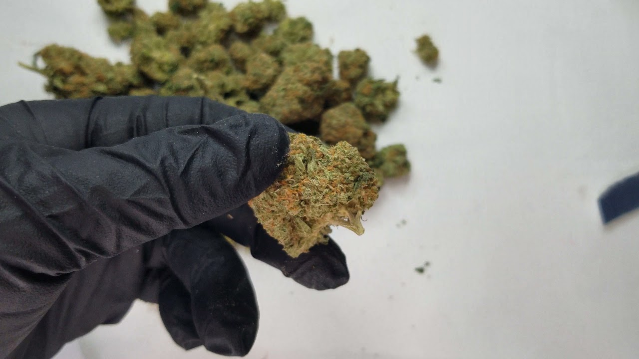 White Rhino Strain (unboxing)