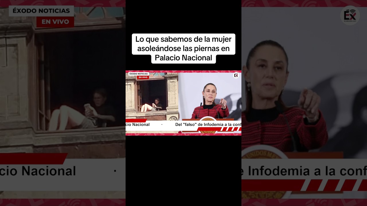 Del "falso" de Infodemia a la confirmación de Sheinbaum; la mujer asoleándose piernas en Palacio Nac