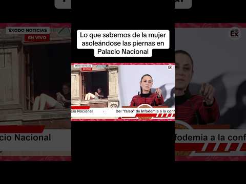 Del "falso" de Infodemia a la confirmación de Sheinbaum; la mujer asoleándose piernas en Palacio Nac