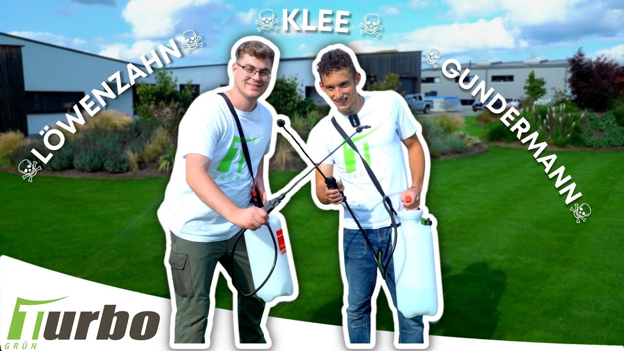 Unkraut im Rasen entfernen | Wir zeigen dir wie! | Turbogrün