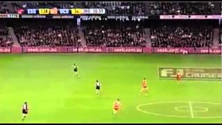 Cale Hooker Highlight Reel
