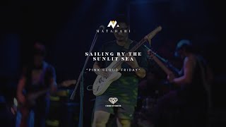 Sailing by the Sunlit Sea - Pink Cloud Friday (LIVE)