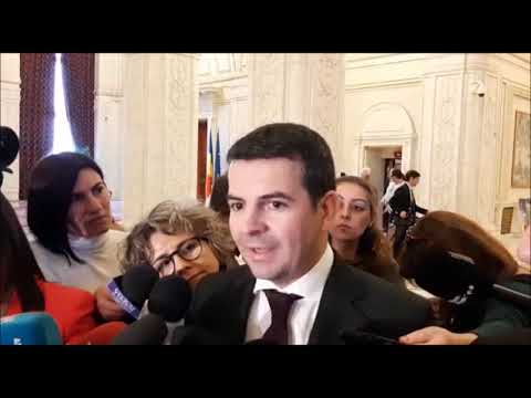 Mediafax 04 Noiembrie - D. Constantin: Vor fi colegi care vor vota învestirea Guvernului Orban